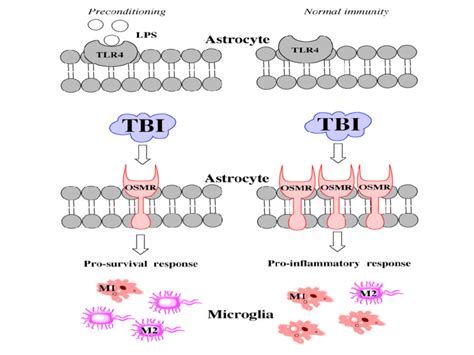 LPS Algorithm 的图像结果