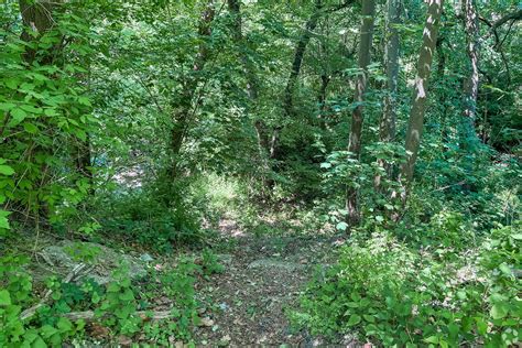 About Little Neck | Schools, Demographics, Things to Do - Homes.com