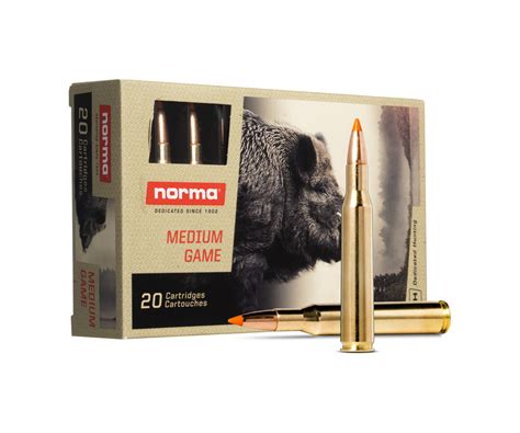 Remington Core-Lokt 30-06 Ammunition RT3006B 165 Grain Ballistic Tip 20 ...