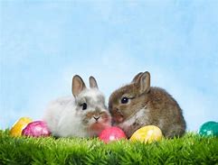 Image result for Cool Easter Bunny