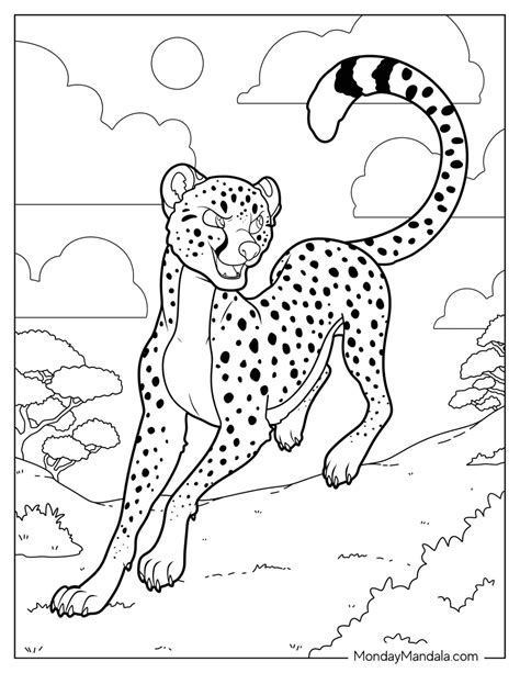 20 Cheetah Coloring Pages (Free PDF Printables)