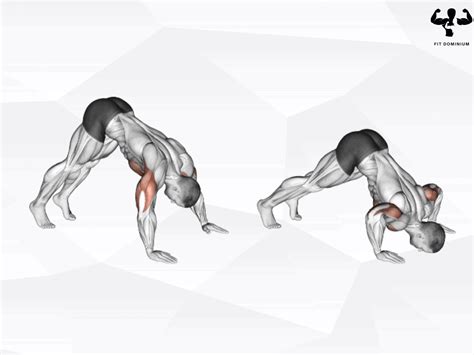 Calisthenics Shoulder Workout For Boulder Shoulders | FitDominium