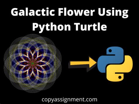 Image result for Python Turtle Flower