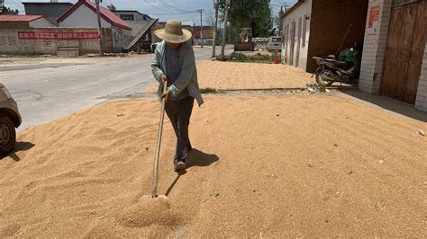 With China's Economy Battered By Pandemic, Millions Return To The Land ...