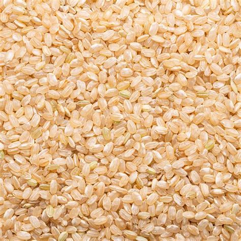 Short Grain Brown Rice- Products | Lundberg Family Farms