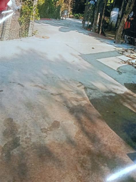 PPMS || Geo Tagging Status Details