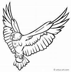ausmalbilder zum ausdrucken adler adler ausmalbild 187 gratis ausdrucken ausmalen 187 artus ausmalbilder zum ausdrucken adler adler ausmalbild 187 gratis ausdrucken ausmalen 187 artus