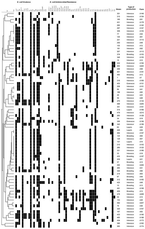 Microarray Evaluation of Antimicrobial Resistance and Virulence of ...