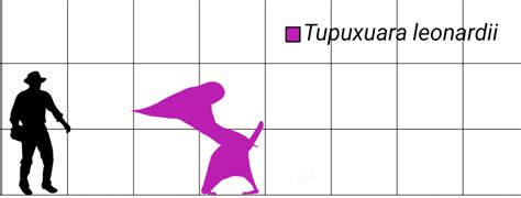 Image result for How to Debugg Program in Java BlueJ
