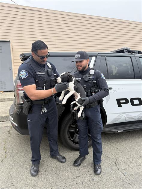 Yuba City Police Department... - Yuba City Police Department