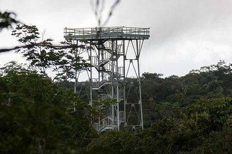 ADOLPHO DUCKE FOREST RESERVE (2026) All You Need to Know BEFORE You Go ...