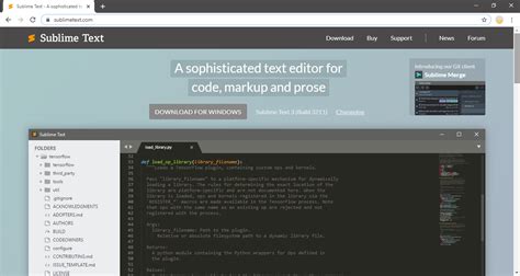 JavaScript Embedded Code Editor 的图像结果