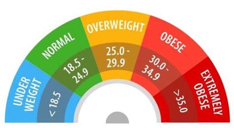 BMI Calculator | TLMWEB