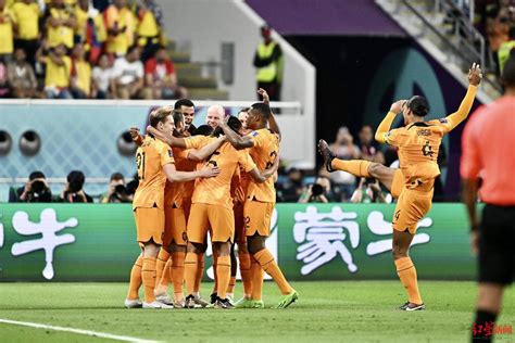荷兰队与厄瓜多尔队1比1言和，送东道主卡塔尔队提前出局_比赛_进球_世界杯