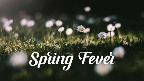Image result for Spring Fever Java