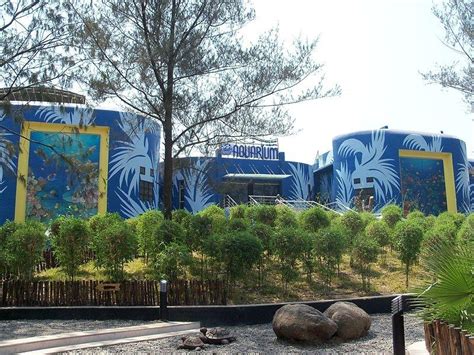 Jagdishchandra Bose Aquarium: Exploring the Underwater World of Surat ...