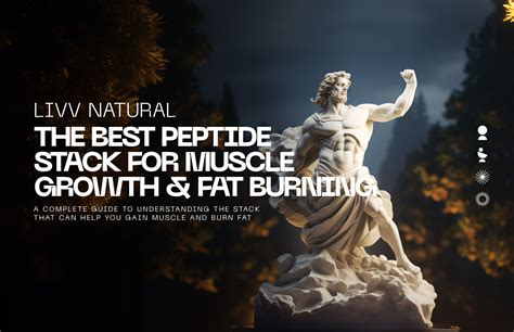 Image result for Muscle Gain Stack