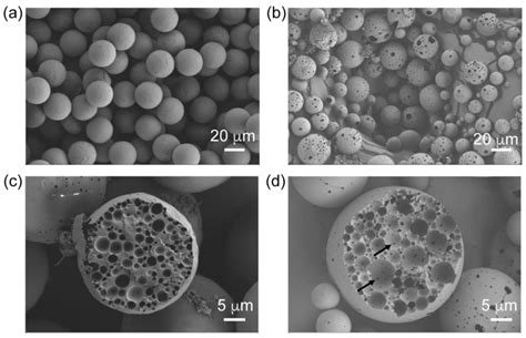 Investigation of the Impact of Manufacturing Methods on Protein-Based ...