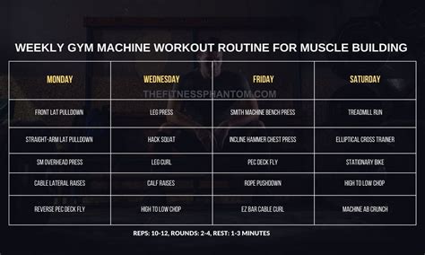 Exercise Machine Workouts 的图像结果