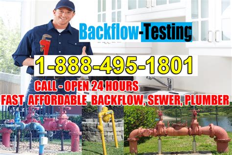 Backflow Device Testing 的图像结果
