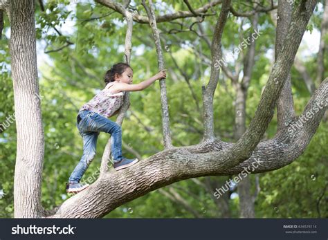 Climbing Tree 的图像结果
