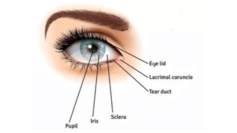 Image result for How to Reference Class in Visual Basic