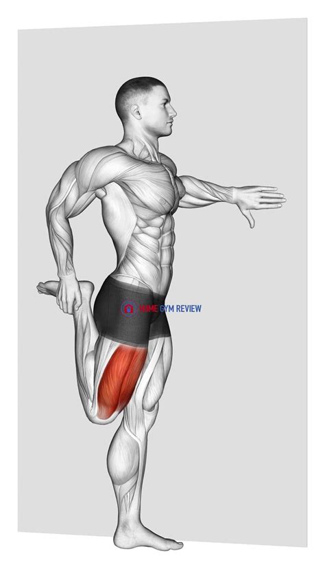 Standing Quadriceps Stretch - Home Gym Review