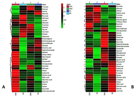 The Dynamic Responses of Oil Palm Leaf and Root Metabolome to ...