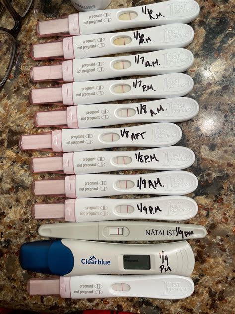 FRER 13-14ish DPO. Ectopic progression? Chemical pregnancy? : r ...