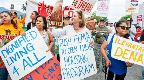 Protesta Voting 的图像结果