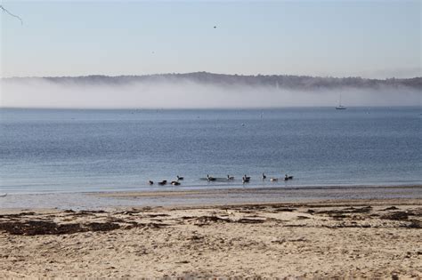 November on Niles Beach - Good Morning Gloucester