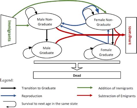 Image result for Matrix Model Explained