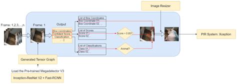 Enhancing Animal Welfare with Interaction Recognition: A Deep Dive into ...