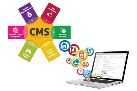 What Is a Content Management System (CMS)? 8 CMS You Need to Know
