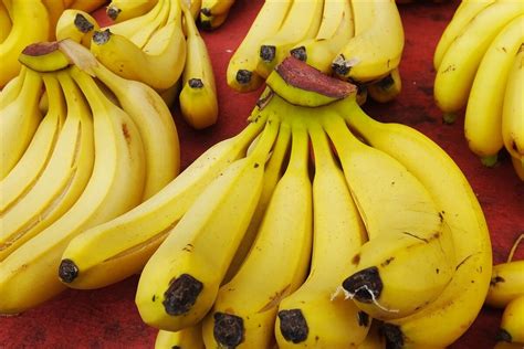 买香蕉，不管什么品种，不管价格高低，只要有这4点，都是好香蕉 - 知乎