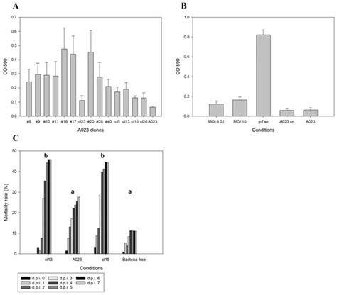 Staying below the Radar: Unraveling a New Family of Ubiquitous “Cryptic ...