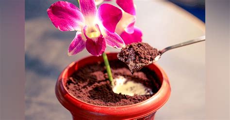 Try The Flower Pot Dessert At Jamjar Diner | LBB, Mumbai