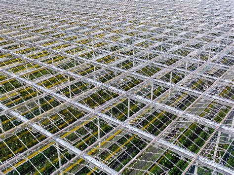 World's Largest Rooftop Greenhouse In Montreal