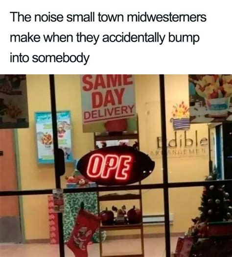 Hometown Local Memes 的图像结果