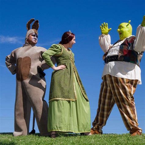 Shrek And Donkey Costumes