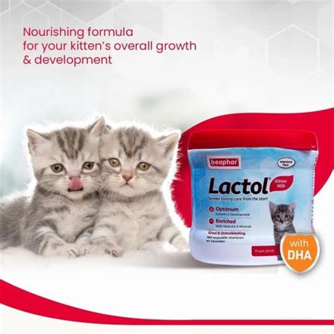 Beaphar Newborn Kitten Cat Milk with DHA, Vitamin, Minerals, Kitten ...