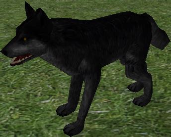 Small Black Wolf - FHX Wiki