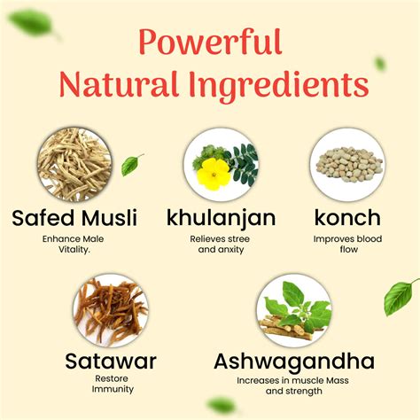 SAFOOFBEEJBANDPOWDERVD-03