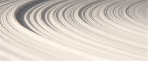 Image result for Pulp Forest