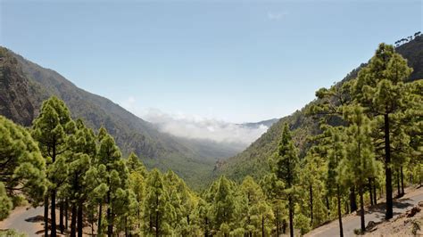 Explore Goldfields Woodlands National Park: Your Ultimate Guide