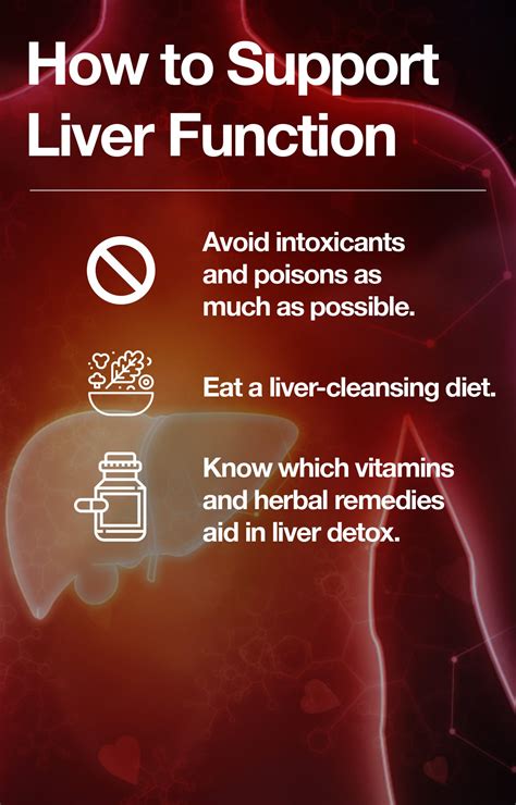 The Top Vital Supplements and Vitamins for Liver Health – The Amino Company