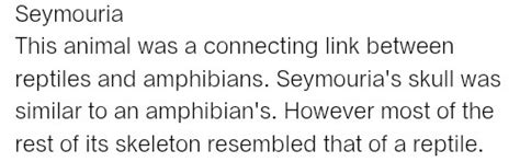 Why is seymouria connecting link between amphibians and reptiles ...