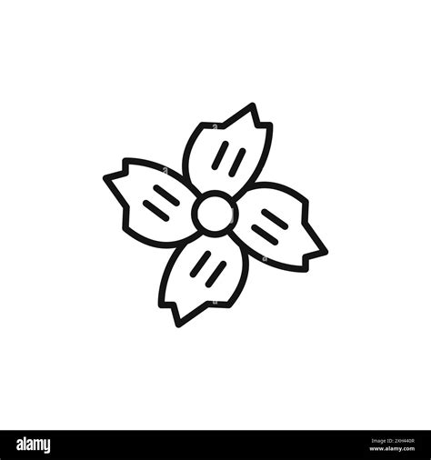 Oleander botanical illustration Stock Vector Images - Alamy