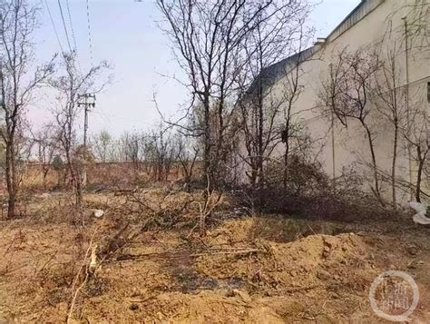 河北衡水11死2伤工地事故：8人被控制(含视频)_手机新浪网