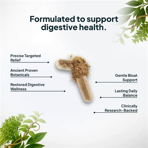 Zenmen H. Pylori Support | Lactobacillus Reuteri India | Ubuy